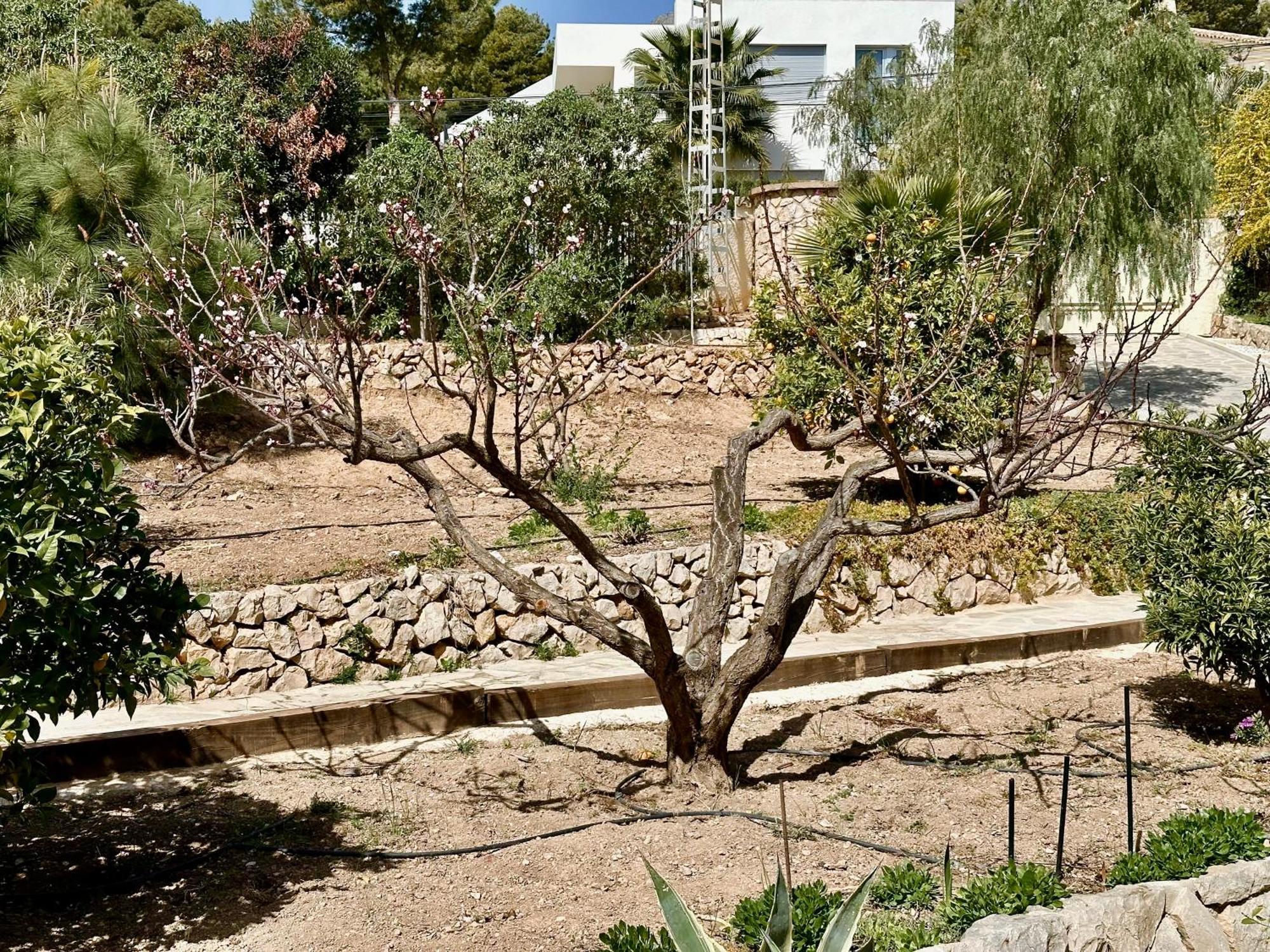Casa Puput Villa Altea Kültér fotó